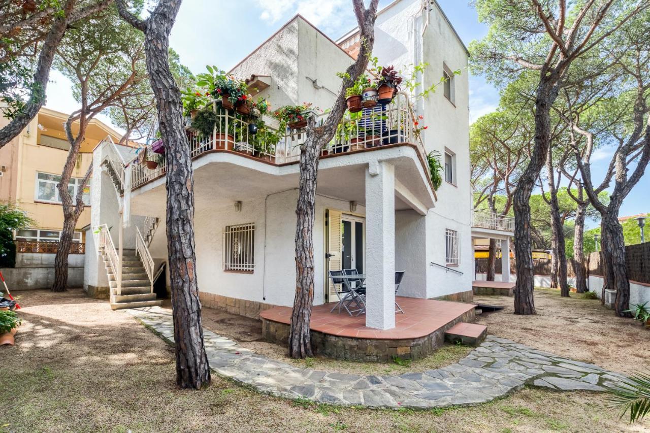 Hauzify I Apartament Edelweiss بلاتجا ذارو المظهر الخارجي الصورة